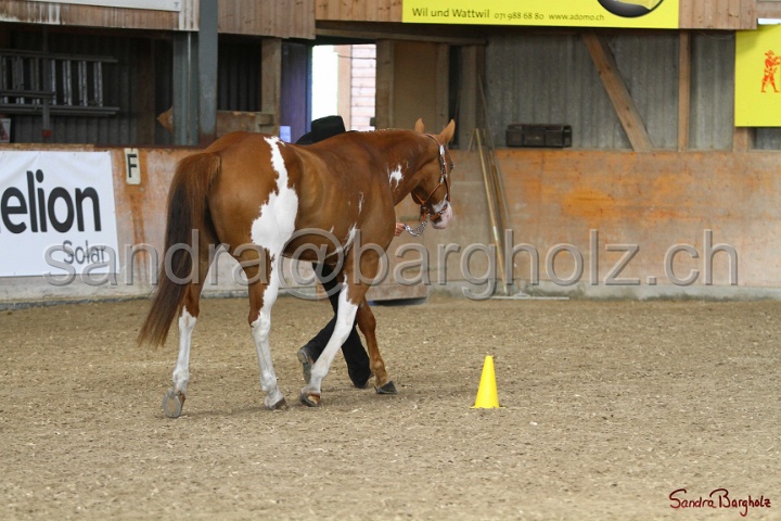 23-APHA SS_006.jpg